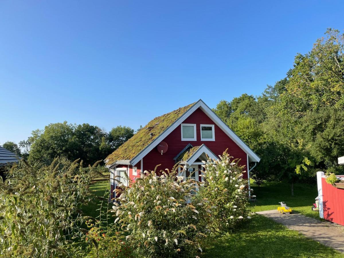 Norweger Haus Am Tollensesee Ferienhaus