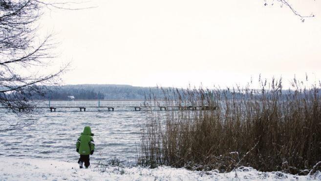 Ferienhaus Norweger Haus Am Tollensesee Groß Nemerow